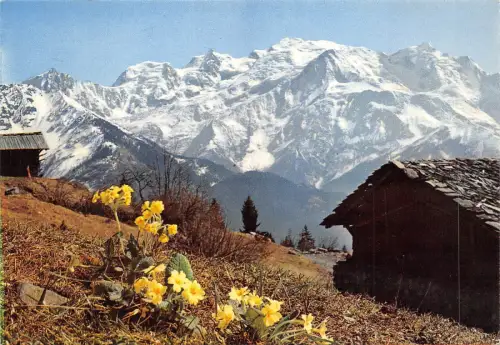 BF1478 au pays du mont blanc Frankreich