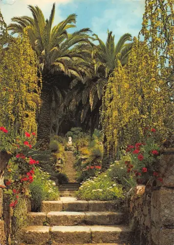 B97070 tresco gardens isles of scilly uk