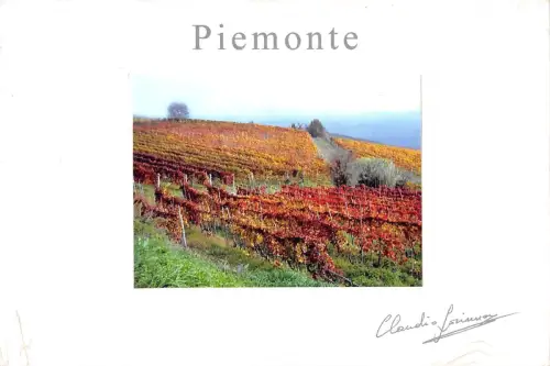 BT0313 Losinno claudio Punto Idea Piemonte Italy