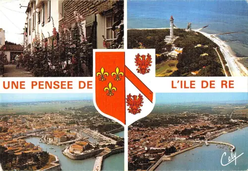 BT8929 Ile de re la venelle aux fleurs France