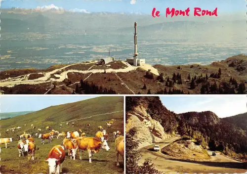 BR71096 le mont rond cow vache france