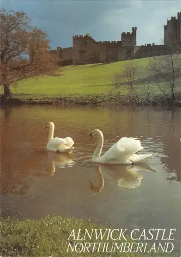 BR89529 alnwick castle northumberland cygne swan uk