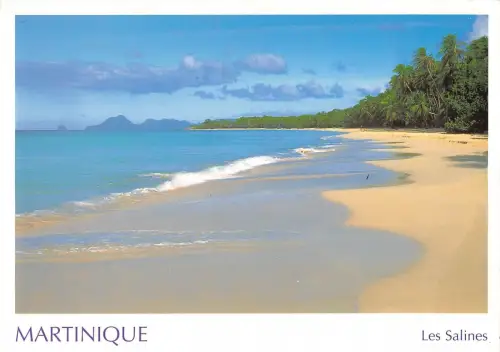 BT7804 Plage des salines martinique Frankreich