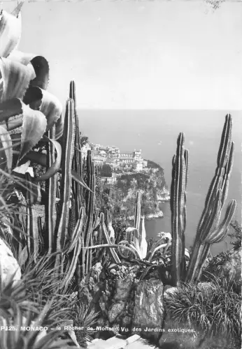 BR20325 Monaco le rocher de monaco Monaco