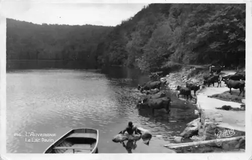 BR38044 L auvergne le lac pavin france