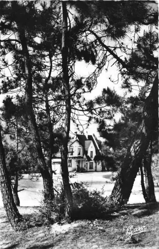 BR39051 Stella plage le sqaure vu de la Foret france