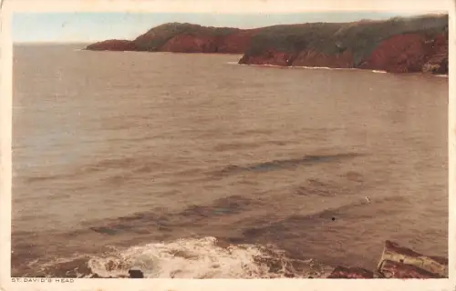 BR099873 St David Kopf Wales