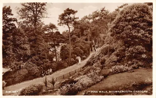 BR101311 Pine Walk Bournemouth Gardens Sun Ray c m 287 UK Echtfoto