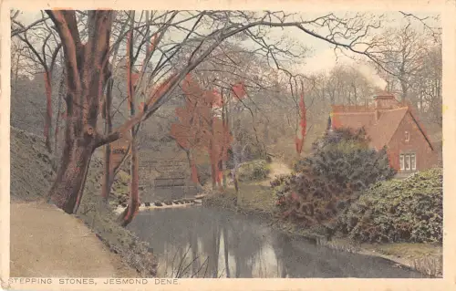 uk12992 stepping stones jesmond dene uk