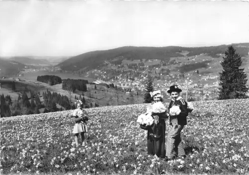 BR11702 Gerardmer Le lac et la ville france Echtfoto