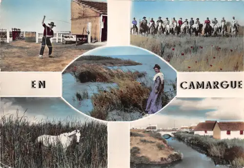 BR7061 En Camargue Le jeu de Lasso france