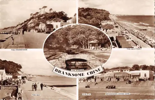 uk13938 branksome chine real photo uk