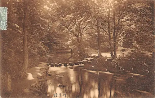 BR60332 Trittsteine Jesmond Dene Newcastle Upon Tyne UK