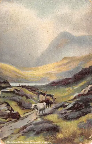 uk16068 mountain path barmouth wales uk