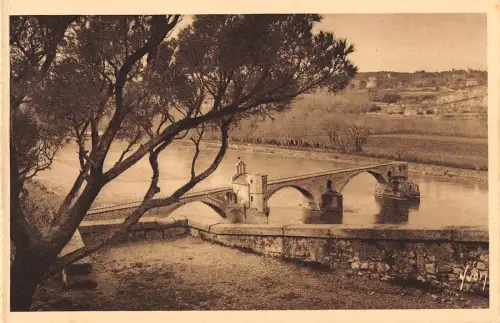 BT14428 Le pont st Benezet vu du rocher du dom Avignon Frankreich