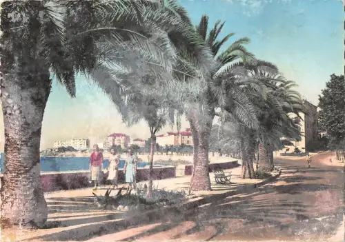 BR48701 Ajaccio le boulevard albert I Frankreich