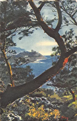 BR53940 Le Cap Ferrat vu a travers les pins d alep France