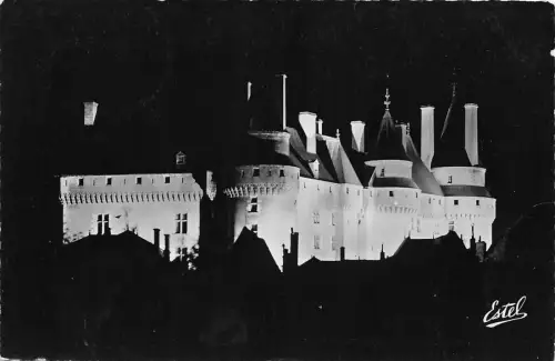 BR19731 Langeais le chateau illumine france