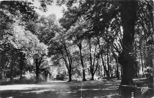 BR26962 Bourbonne les bains le parc montmorency Frankreich