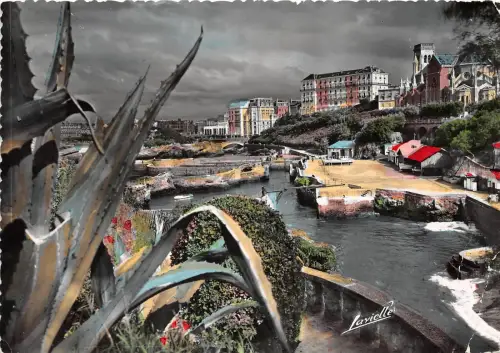 BR6597 Le Port des pecheurs Biarritz france