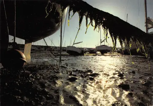 BR54036 Jard sur mer contre jour dans le port france