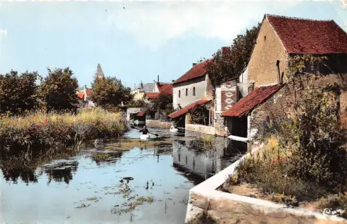 BR5550 Connerre Paysage sur le Due france