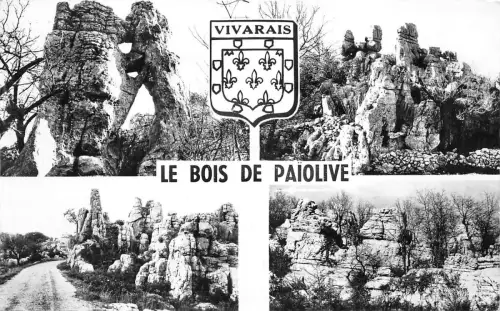 BR17145 Le Bois de Paiolive Frankreich