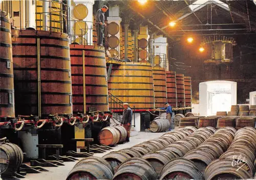 BR30028 Le Cognac dans des grands foudres de chene sont assembkes en de saants m
