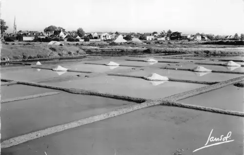BR27324 Le Pouliguen les Marais Salants Frankreich