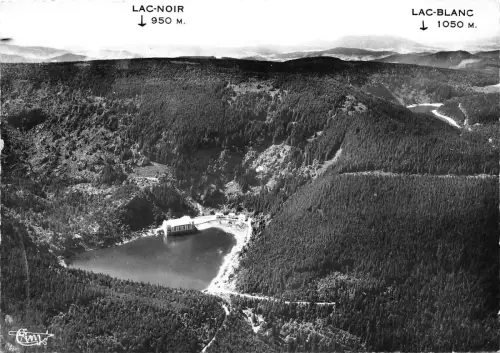 BR17226 Orbey le lac noir en premier plan france