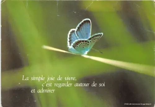 BR7214 Le simple Lebensfreude Schmetterling Papilons