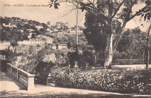BR46129 ALger le jardin du musee Algerien