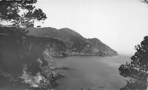 BR28754 Le brusc la falaise france