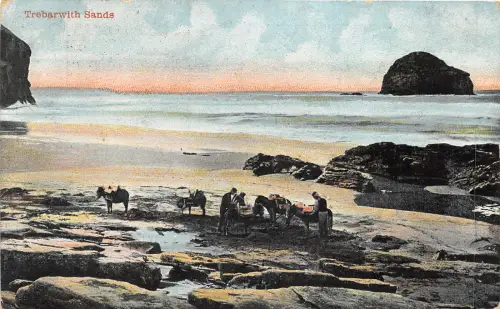 uk41287 keston ponds sands uk donkey