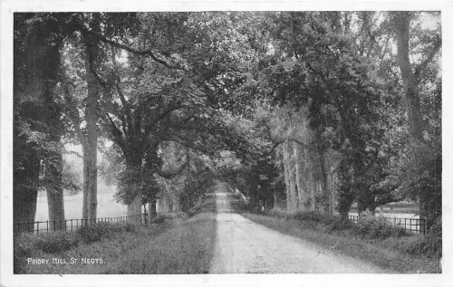 uk48479 priory hill st neots real photo uk