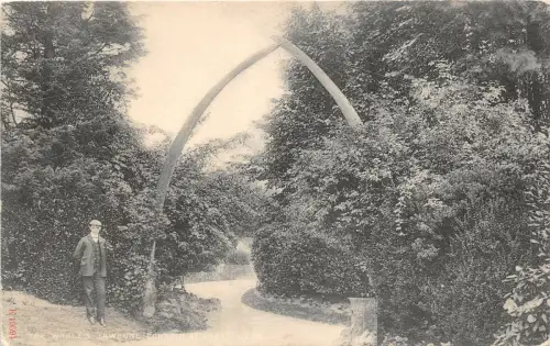 br109072 whale jawbone uk connaught park dover