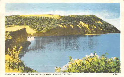 br106596 cape blomidon evangeline land canada
