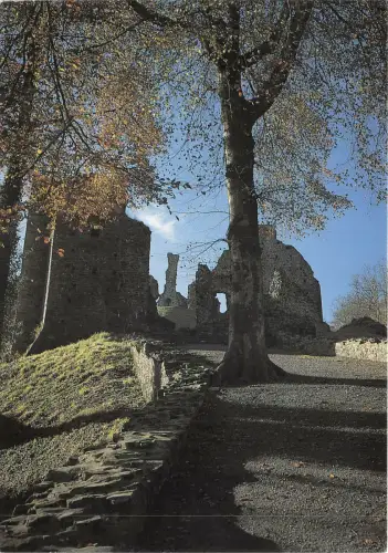 br108883 okehampton castle near dartmoor uk