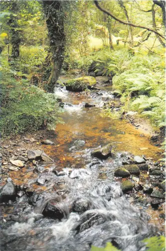 br108395 coed elernion trefor lleyn penninsula gwynedd wales uk