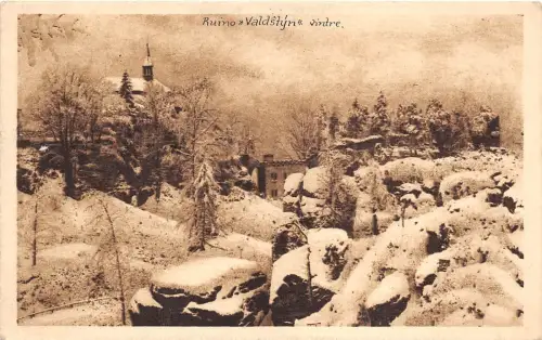BT2709 Ruino valdstyna vintre czech republic