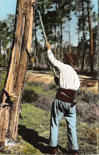 BR26449 la lande le resinier au travail Frankreich
