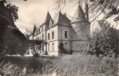 BR48119 Mauze s le mionon le chateau Frankreich