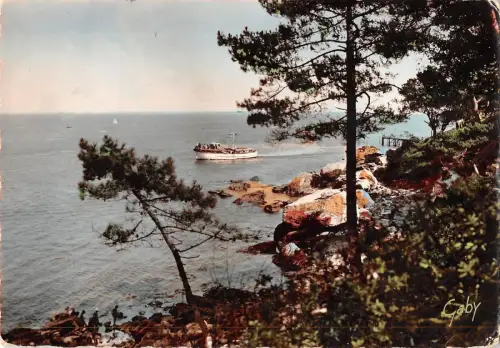 BR53893 Ile de Noirmoutier echappee sur le bois de la chaize Frankreich
