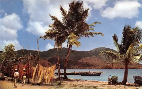 BR40647 Martinique sainte luce le bord de mer France