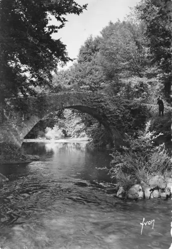 BR17833 Saint jean Pied de Port La nive et le pont romain d Eyharaberry france
