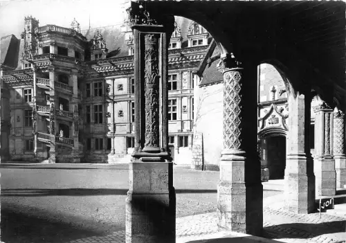 BR17990 Blois le chateau france