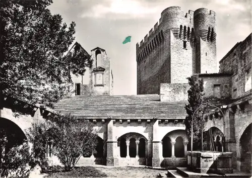 BR6623 Arles Le Cloitre et le Donjon france