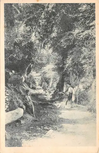 BR44445 Kabylie chemin pres de michelet algeria