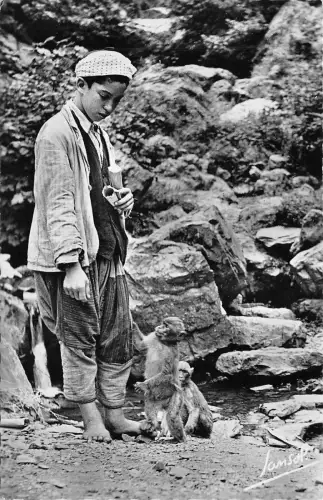 BR44157 La vallee de la chiffa Blida algeria