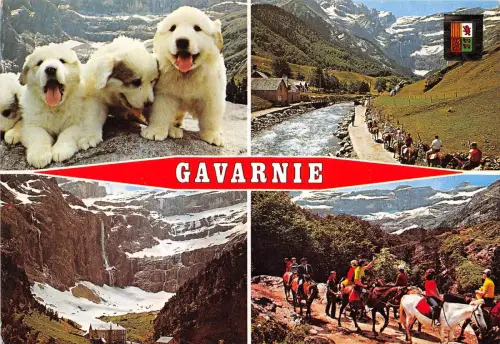 BR30237 Gavarnie le give et le cirque dog chaiene Frankreich